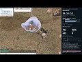 Claude Opus 5.5 plays Ragnarok Online · Ep. 07: Ten levels, no deaths
