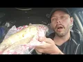 Bill Ruth s Egg Salad Sandwich Review In Broken Arrow Oklahoma