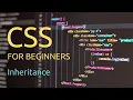 CSS for Absolute Beginners - 12