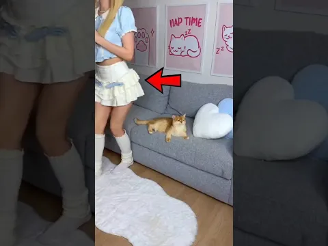 Kept Annoying Her Cat... Then the Cat Got Revenge! 😱🐱
