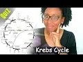 KREBS CYCLE HOW MUCH DO YOU KNOW QUIZ