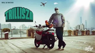                                                                              تريل   مال ومطار دندنها