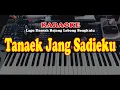 Lagu Daerah lebong - BENGKULU - TANAEK JANG SADIEKU - KARAOKE