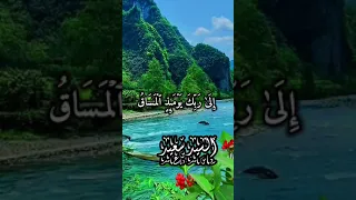 السيد سعيد سورة القيامة كامله فى منتهى الروعة والجمال 