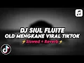 Download Lagu DJ SIUL OLD MENGKANE VIRAL TIKTOK (Slowed+Reverb)