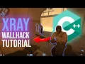 CS2 Tutorial - How to Enable XRAY in Multiplayer Mode Using C PRO