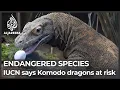 IUCN Red List Bad news for sharks Komodo dragon tuna improving