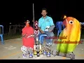 Download Lagu Lovebird Rudal Meledak Di Bupati Cup Banyumas, Juara 1 sebanyak 7 kali