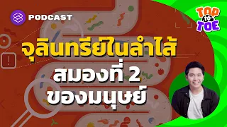 โปรไบโอติกและพรีไบโอติกต่างกันอย่างไร