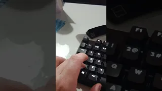                                              دندنها