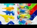 Download Lagu Dino Mecard Plesiosaurus Saichania Pachycephalosaurus Microraptor Dinosaur Capsule  | ToyMoon