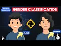 Project 19 Gender Classification By Names Using Machine Learning
