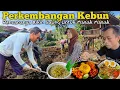 Download Lagu HIDUP DI DESA | RENCANANYA MAU BIKIN SAUNG DI KEBON UNTUK MASAK MASAK