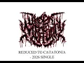 UNDER THE MORTUARY - REDUCED TO CATATONIA SINGLE 2026