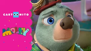 مولي استراحة فقرة كارتونيتو كرتون نتورك 