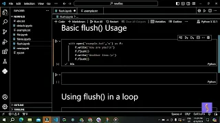 MM Python Tutorial How to Use the flush Method for Instant File Writing