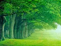 Download Lagu Instrumental Rohani Kristen Piano - Instrumental Piano Bagai Rajawali