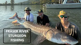Sturgeon Fishing Fraser River BC – ACR Fishing Adventures #sturgeon #fishing