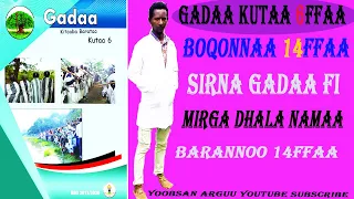 SIRNA GADAA FI MIRGA DHALA NAMAA GEDA SYSEM AND HUMNA RIGHTY  SIRNA GADAA FI MIRGA DHALA NAMAA GEDA SYSEM AND HUMNA RIGHTY