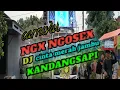 Download Lagu NGX NGOSEX DJ CINTA MERAH JAMBU