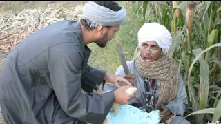 إضحك من قلبك الحاج عقبي والحاج عبدالله الحرام مش بيدوم أبدا رسالة صعايدة  إضحك من قلبك الحاج عقبي والحاج عبدالله الحرام مش بيدوم أبدا رسالة صعايدة