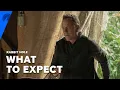 Rabbit Hole What To Expect Paramount