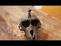 APESHIT - Apekz x Loonie (Official Music Video)
