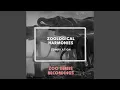 Download Lagu Tojo