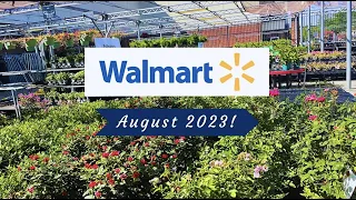 Walmart Garden Center Inventory Plant Shopping - 7 Endless Summer Hydrangeas