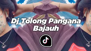 Download DJ TOLONG PANGANA BAJAUH || FEBRII SARAGIH VIRALL TIK TOK MP3