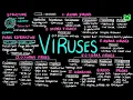 Viruses Molecular Biology 10 Biology PP Notes Campbell 8E Ch 19