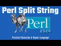 Perl Programming Tutorial Split Strings 2024