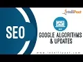 Google Algorithms Updates Tutorial SEO Tutorial Online SEO Training Intellipaat