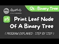 Print Leaf Nodes Of A Binary Tree
