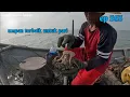 Download Lagu Sotong karang ep.565