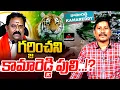 Download Lagu గర్జించని  కామారెడ్డి పులి !? Kamareddy Katipally Venkata Ramana Reddy | Floods in Kamareddy |MTPLus