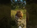 Download Lagu WILDLIFE PHOTOGRAPHY #rdrpvp #reddeadonline #gameplay #rdo #rdo2 #sniper #reddeadredemption2 #shorts