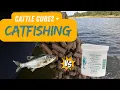Catfishing Cattle Cube CHUM SHAD vs PUNCH BAIT