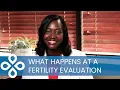 Download Lagu What happens at the fertility evaluation