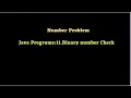 Java Programs 11 Binary number Check