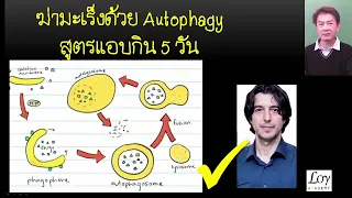 อาหารแอบกินที่แนะนำสำหรับการรักษามะเร็งควรมีลักษณะอย่างไรบ้าง?