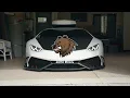 Drenchill - Freed From Desire (feat. Indiiana) Supercar [4K]