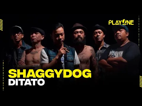 Shaggydog - Ditato | playOne Radioshow