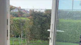 Winter birds are here