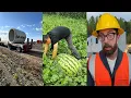 Download Lagu Compilatie van slimme werknemers – Geniale vaardigheden die je niet zult geloven✅