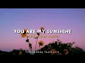 You Are My Sunshine - Cover By Nada \u0026 Luthfi | Terjemahan Indonesia (Lyrics Video)