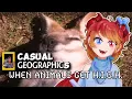 AD Vtuber s When Animals Get Elevated Casual Geographic Reaction