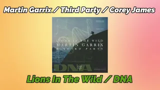 Download Martin Garrix \u0026 Third Party vs. Corey James - Lions In The Wild vs. DNA (Martin Garrix Mashup) MP3