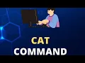 Mastering the cat Command in Linux Concatenate and Display Files