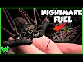 Download Lagu GIANT WHIPSCORPION! Bizarre Jungle Creatures in the Cloud Forest w/ @TheWildlifeBrothers